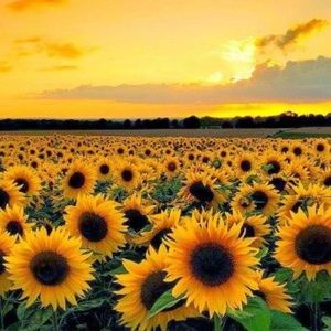 Meet your Posher, Kathryn